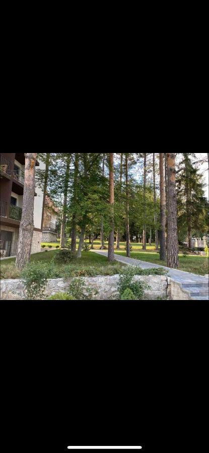 Titova Vila Zlatibor Mountain View Apartment Exteriör bild